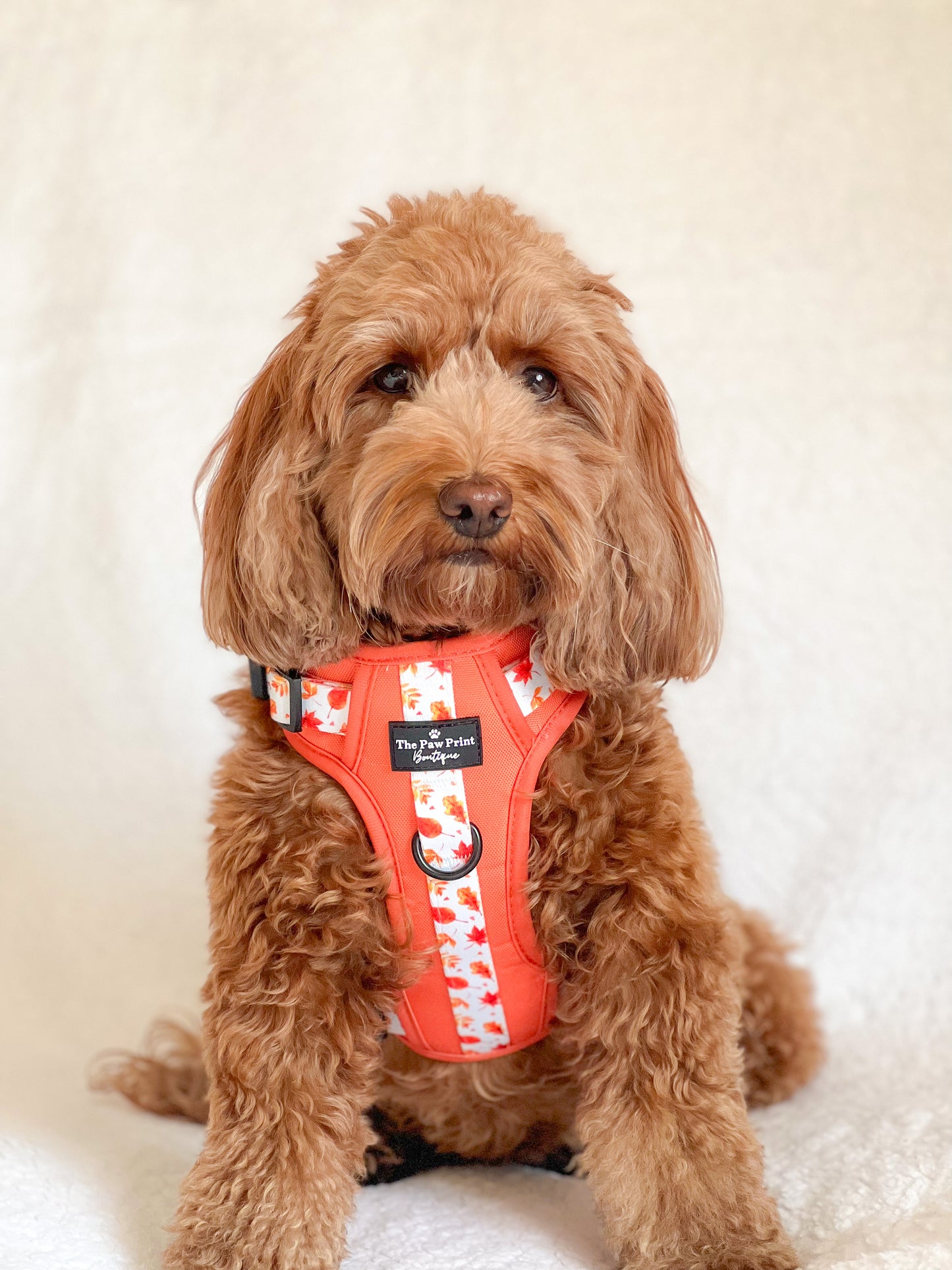 The UnbeLEAFable Adventure Paws Harness (Tough)