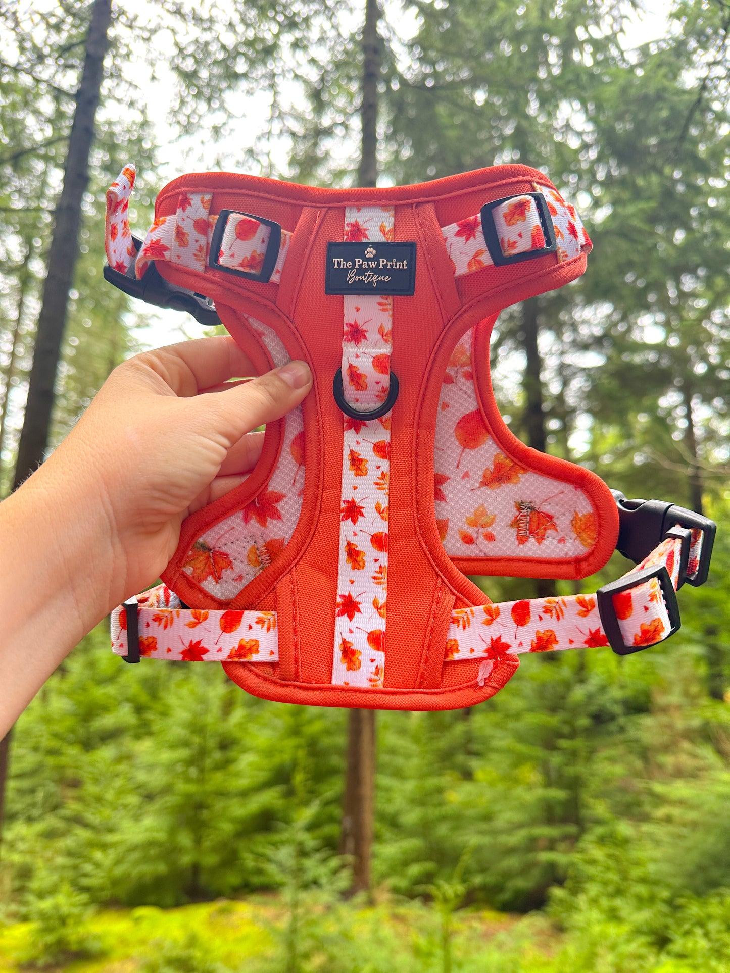 The UnbeLEAFable Adventure Paws Harness (Tough)