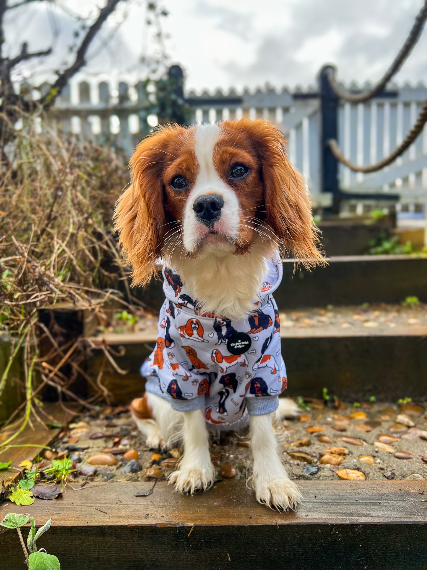The Cavalier Dog Hoodie - All Over Print