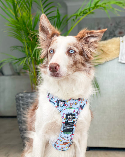The Surfs Pup Harness (Adventure Paws Style)