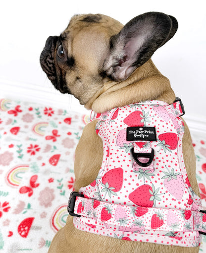 The Sweet Strawberries Adventure Paws Harness