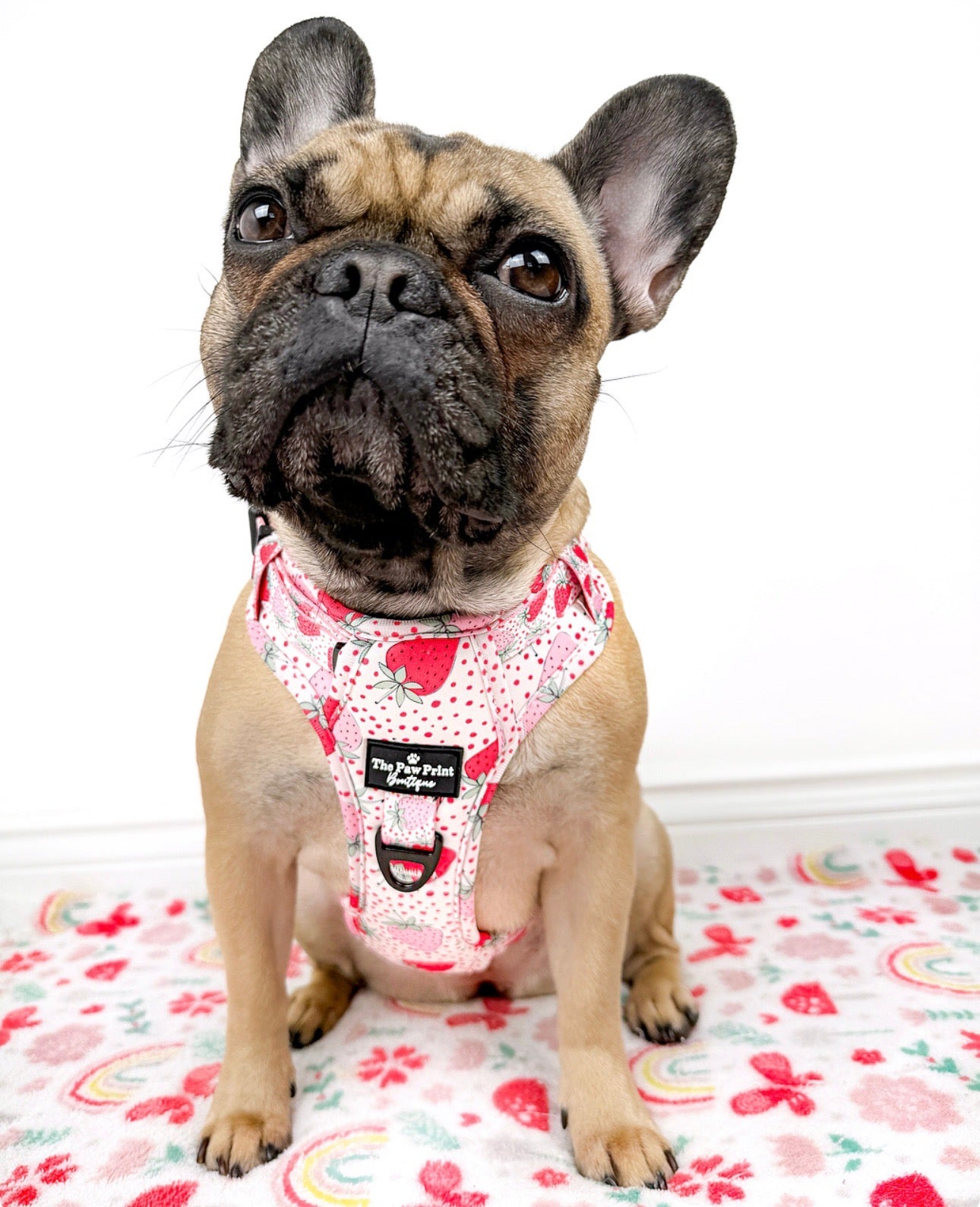 The Sweet Strawberries Harness  (Adventure Paws Style)