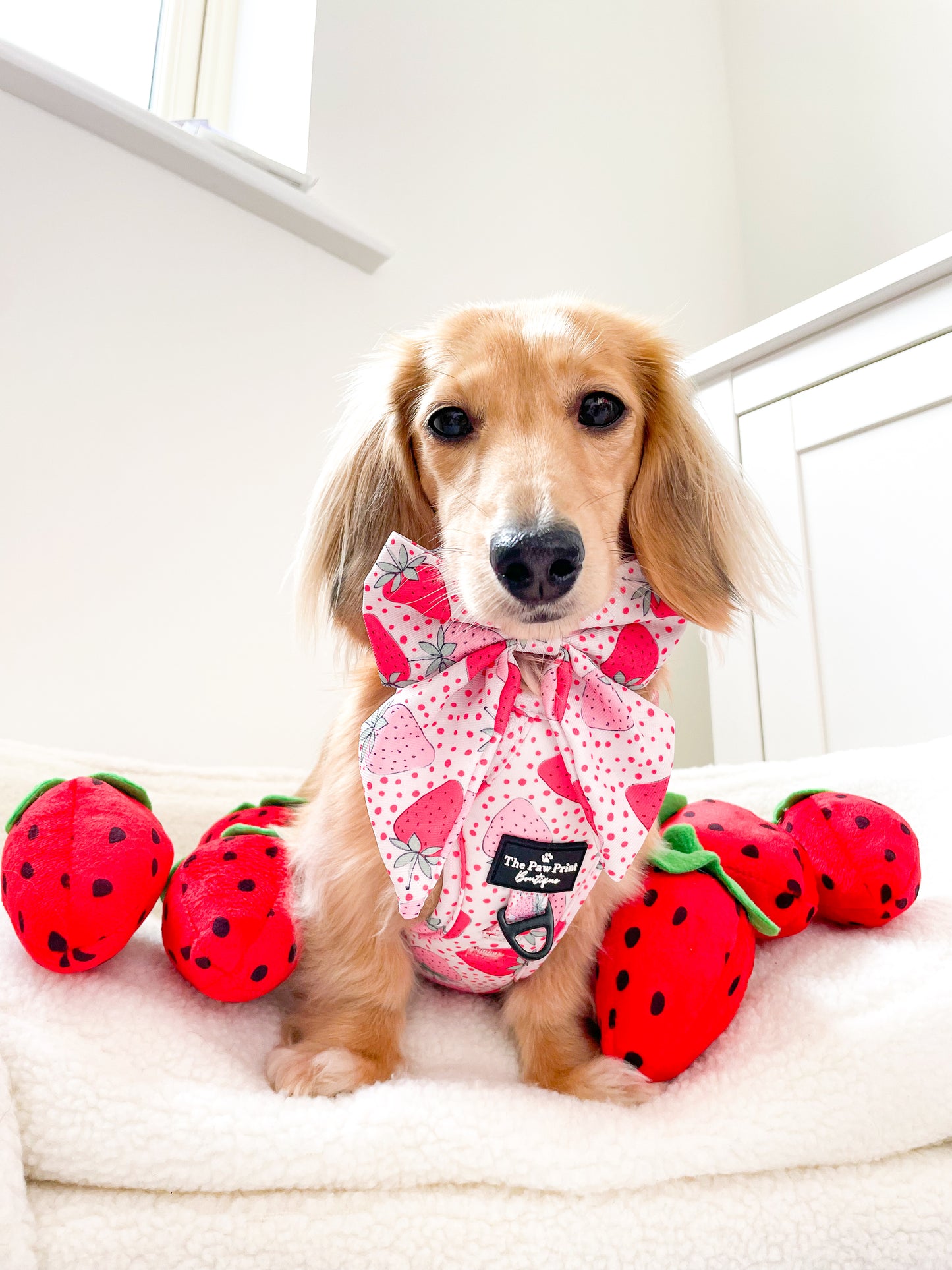 The Sweet Strawberries Adventure Paws Harness