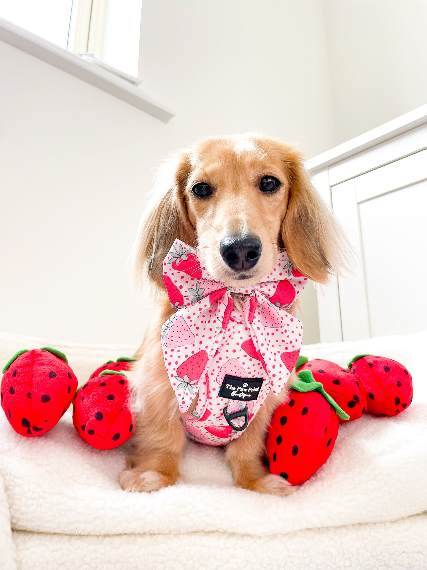 The Sweet Strawberries Harness  (Adventure Paws Style)