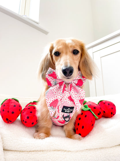 The Sweet Strawberries Harness  (Adventure Paws Style)