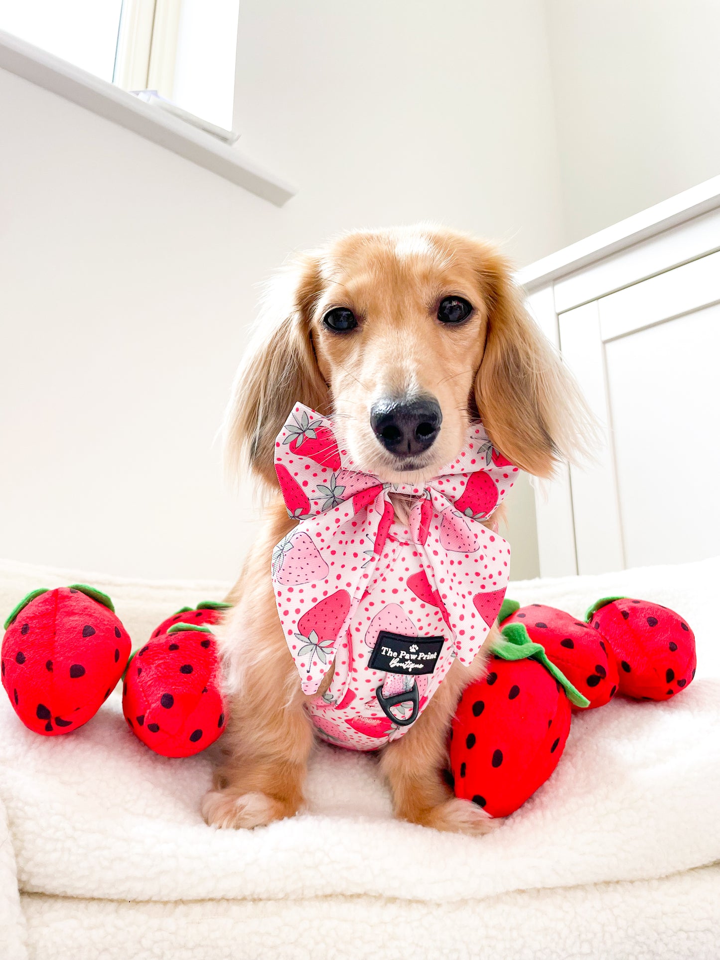 The Sweet Strawberries Bow Tie