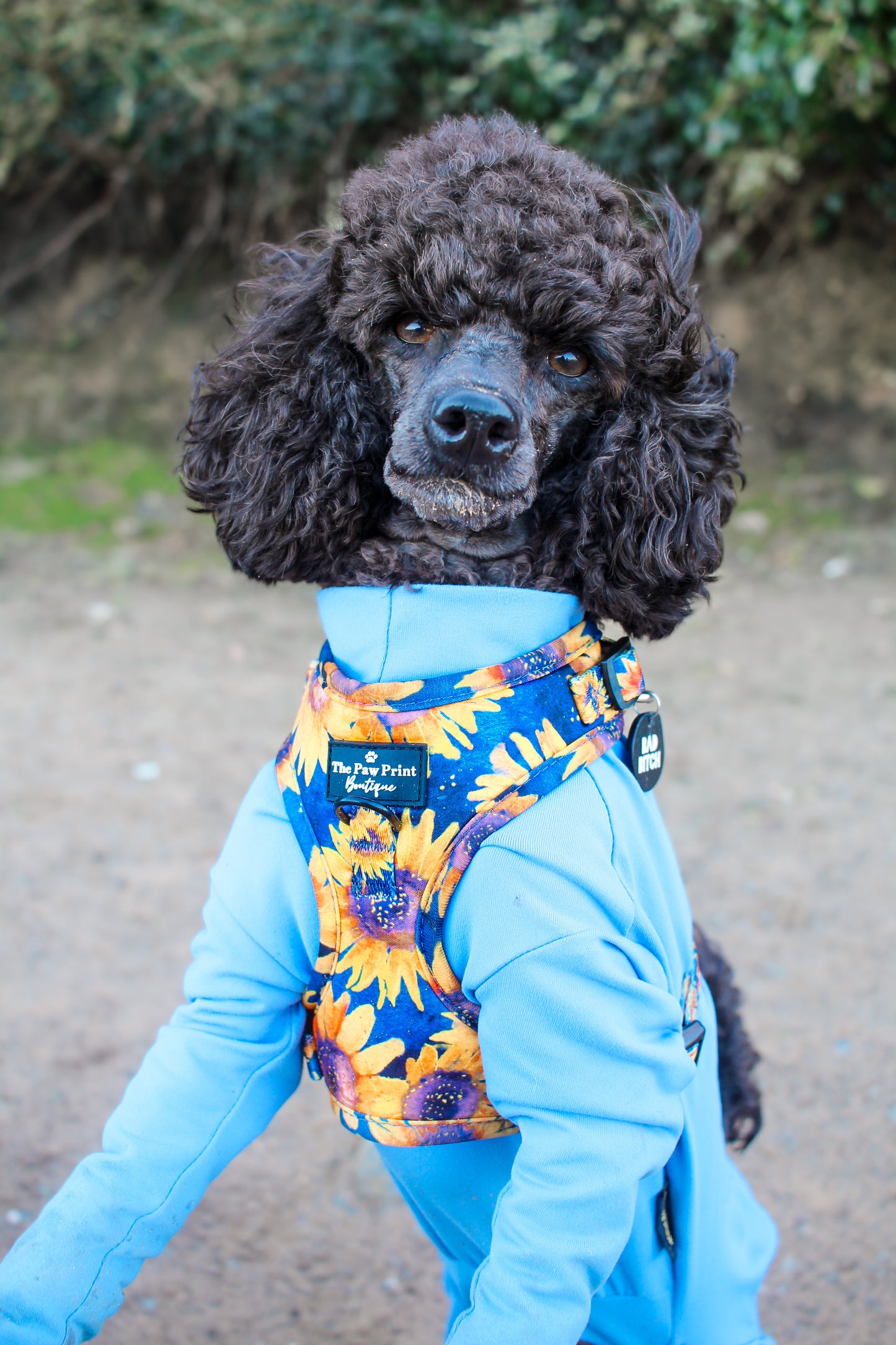 The Sunflower Field Adjustable Harness