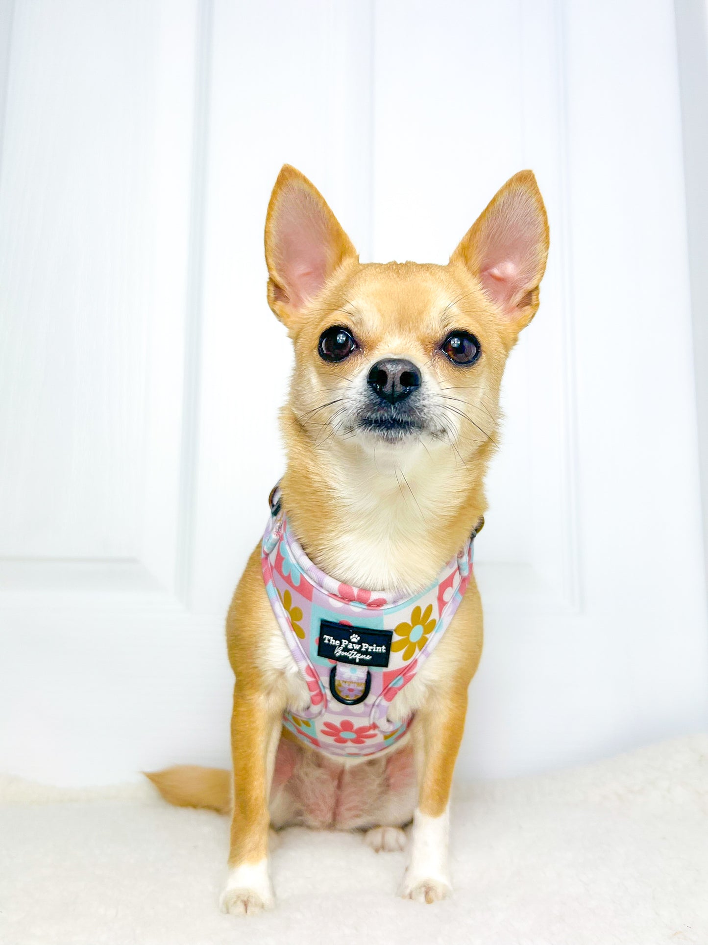 The Funky Flower Adjustable Harness