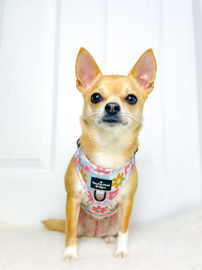The Funky Flower Adjustable Harness