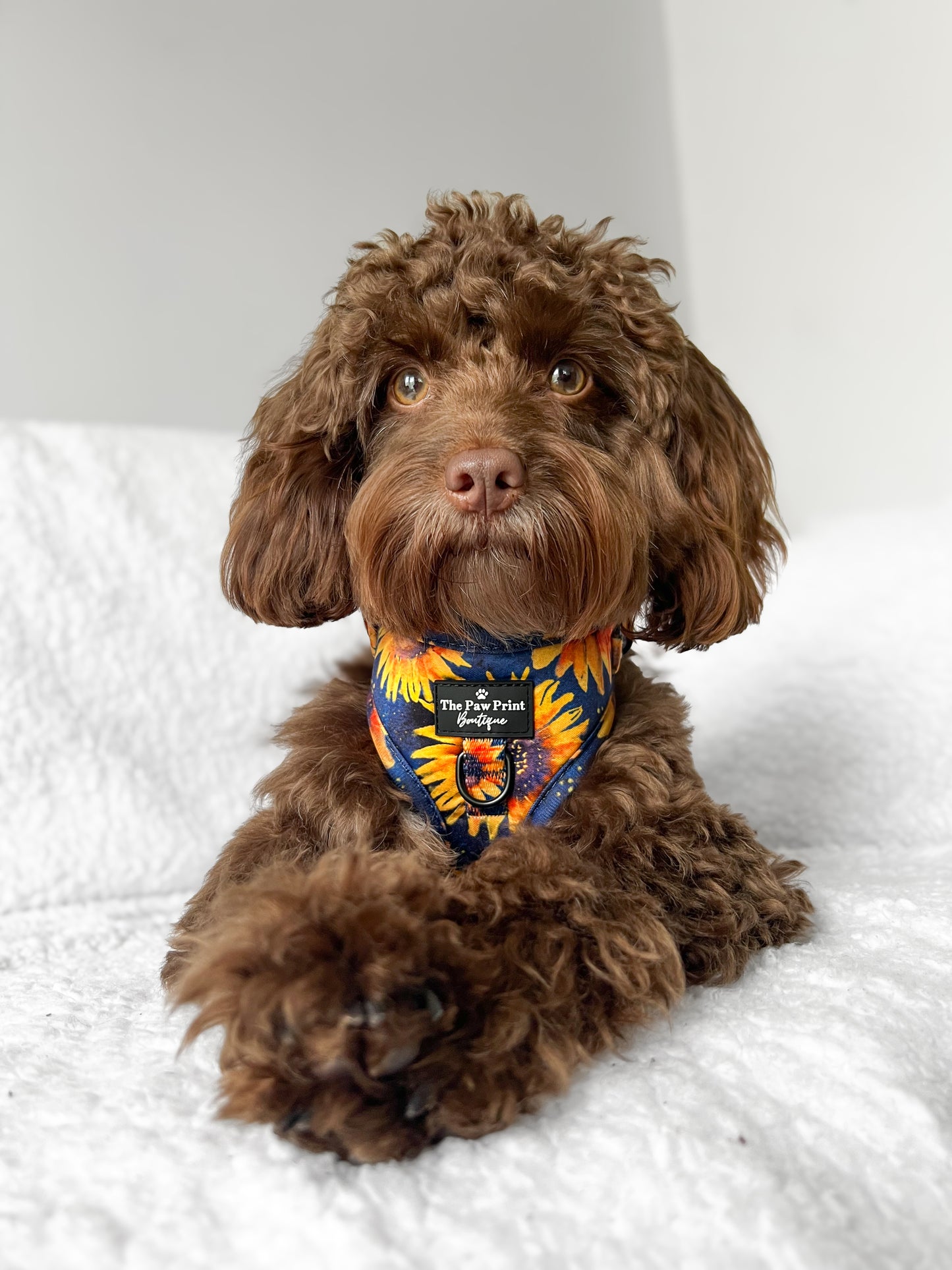 The Sunflower Field Adjustable Harness