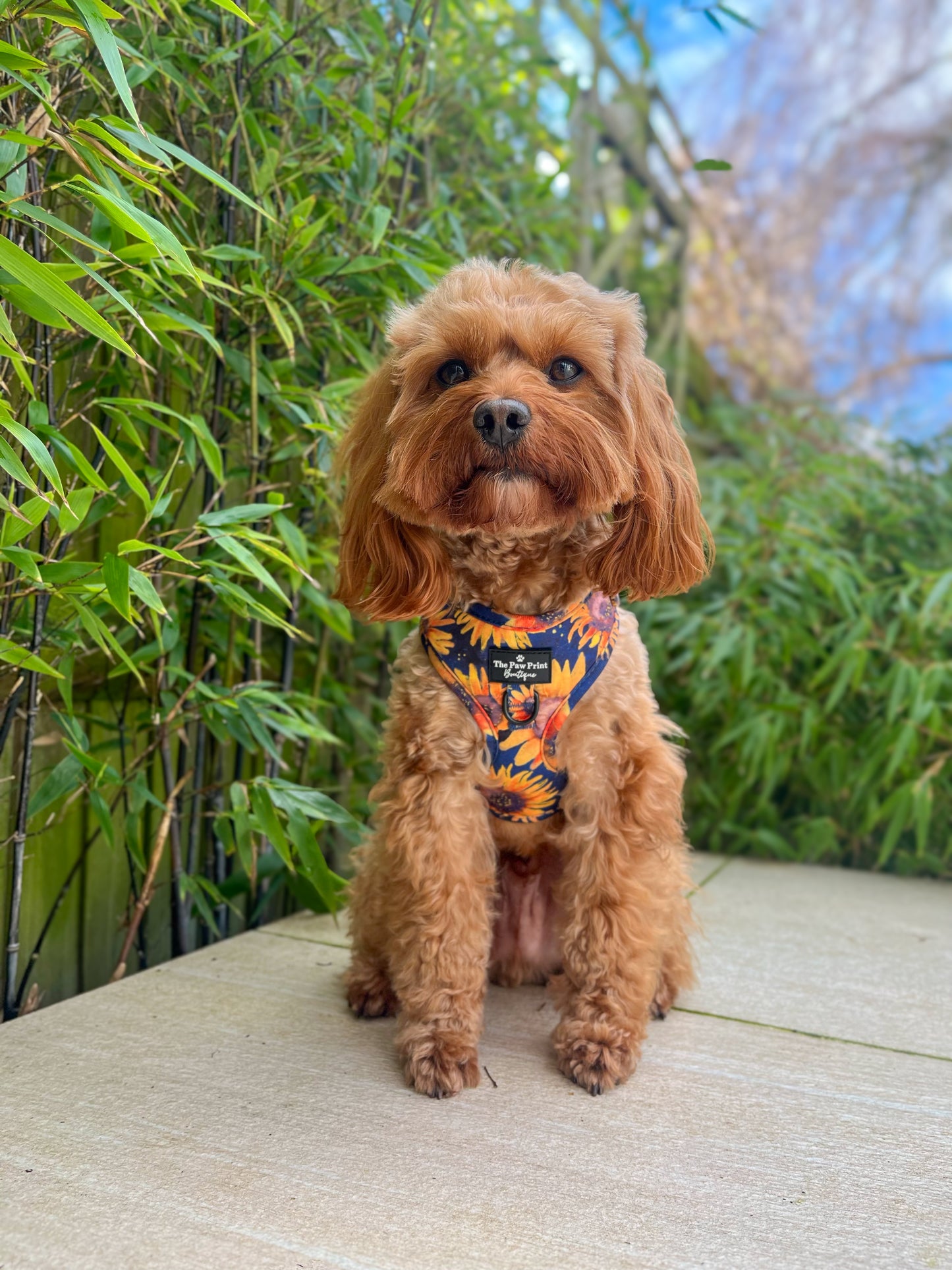 The Sunflower Field Adjustable Harness