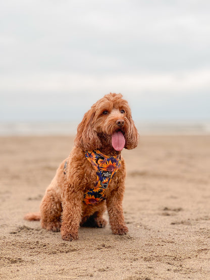 The Sunflower Field Harness (Adventure Paws Style)