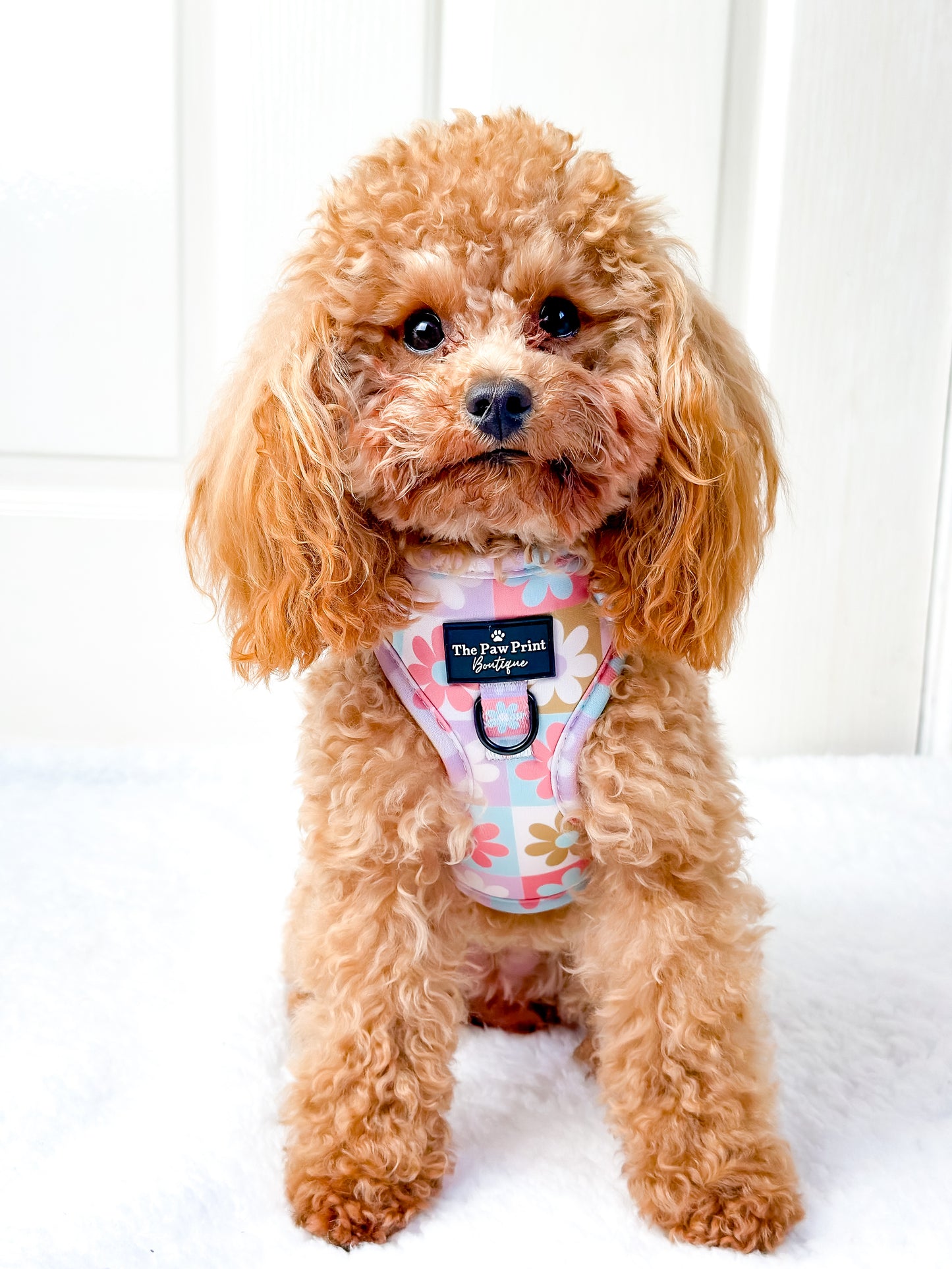 The Funky Flower Adjustable Harness