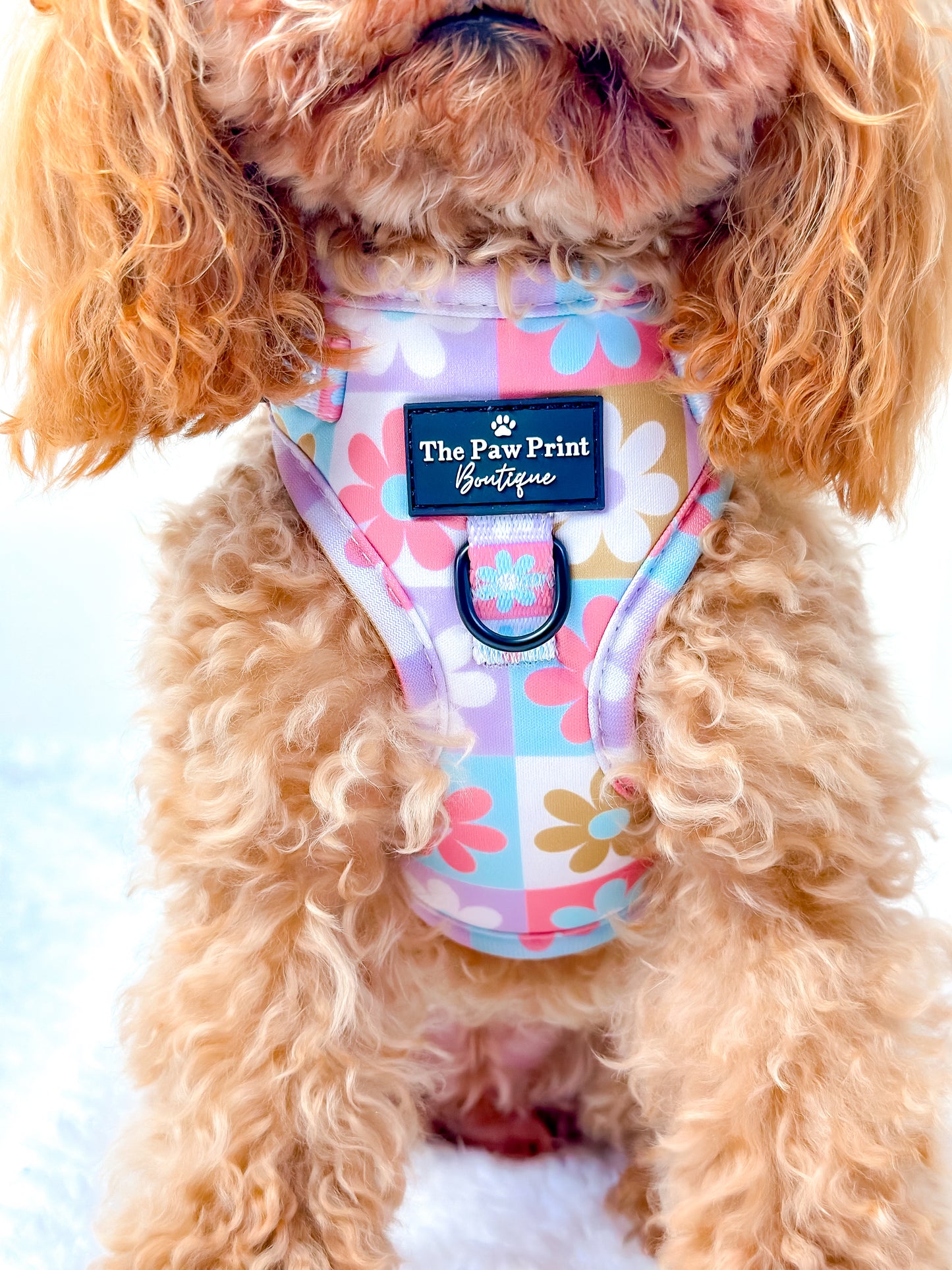The Funky Flower Adjustable Harness