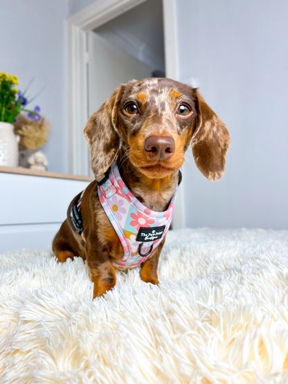 The Funky Flower Adjustable Harness