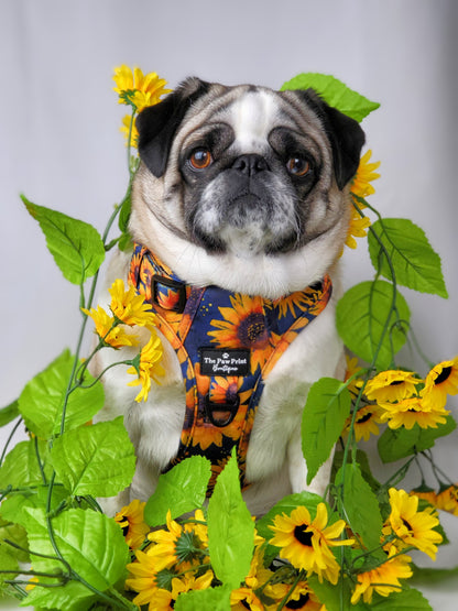 The Sunflower Field Harness (Adventure Paws Style)