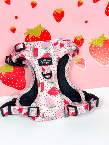 The Sweet Strawberries Harness  (Adventure Paws Style)