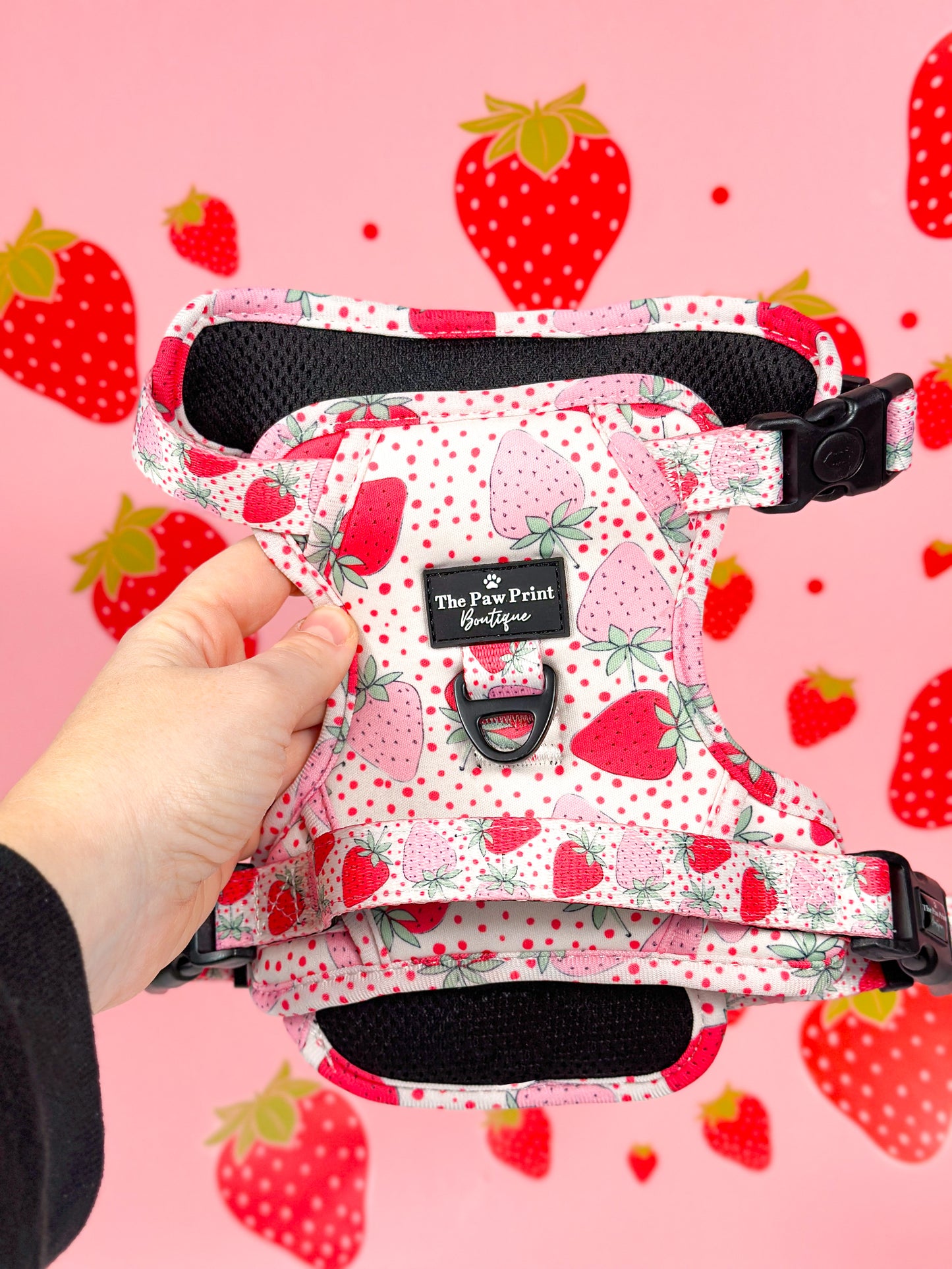 The Sweet Strawberries Adventure Paws Harness