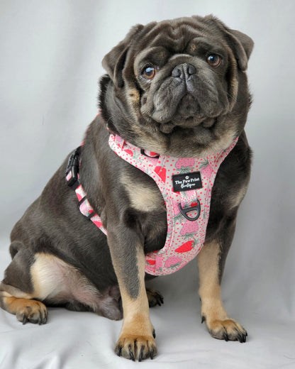 The Sweet Strawberries Harness  (Adventure Paws Style)