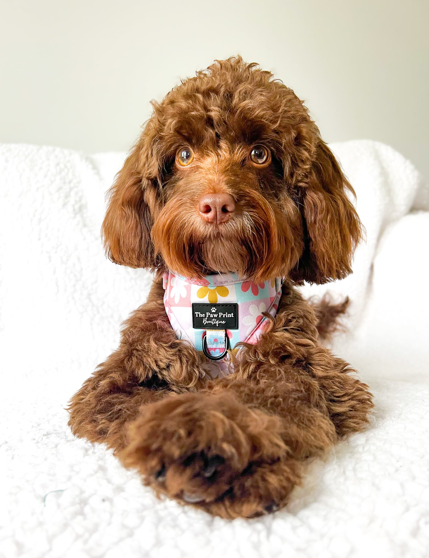 The Funky Flower Adjustable Harness