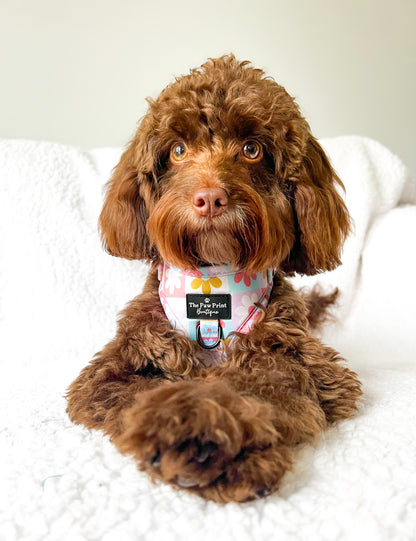 The Funky Flower Adjustable Harness