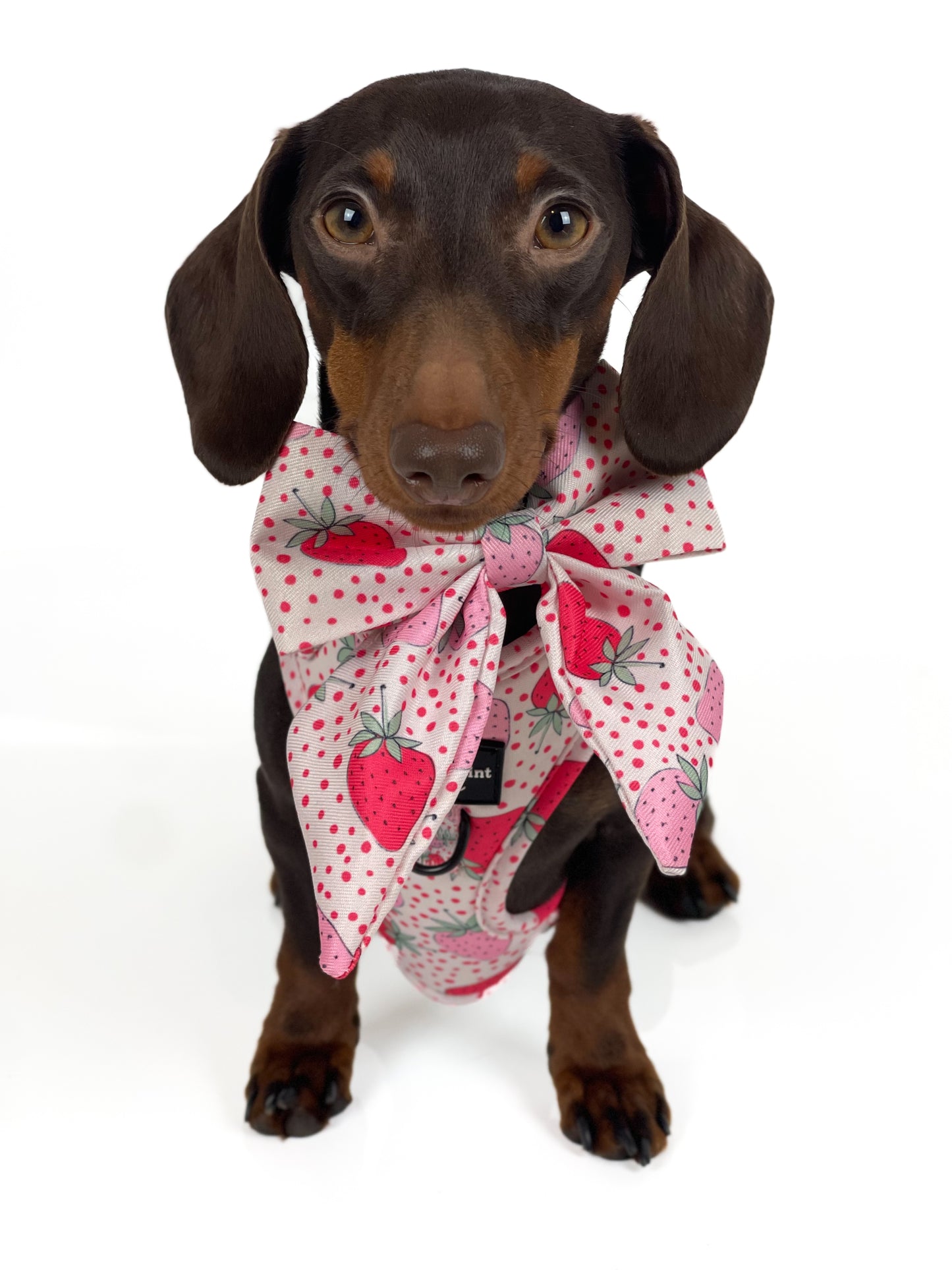 The Sweet Strawberries Bow Tie