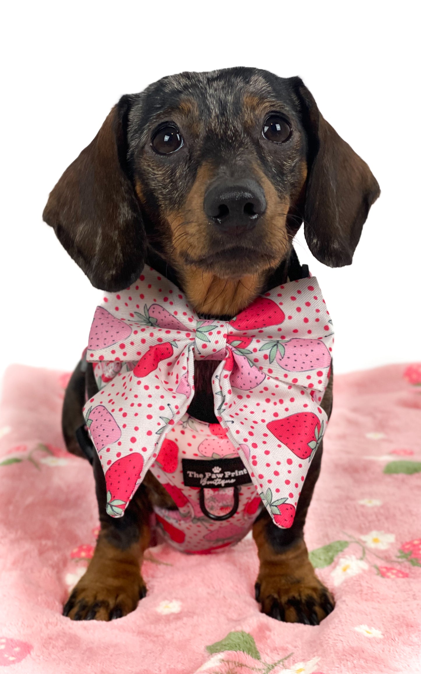 The Sweet Strawberries Bow Tie