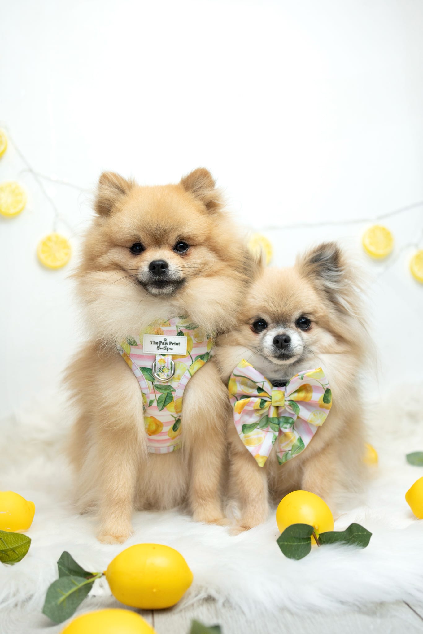 La Dolce Vita Adjustable Harness