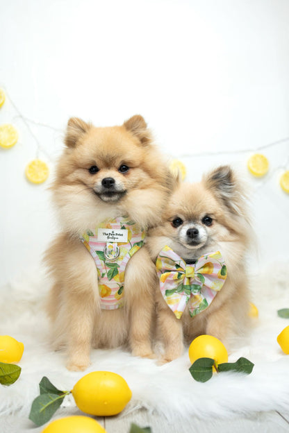 La Dolce Vita Adjustable Harness