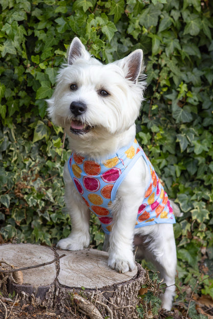 Squeeze the Day Cooling Vest
