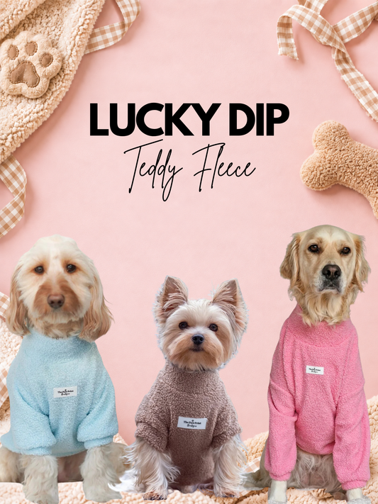 LUCKY DIP TEDDY FLEECE
