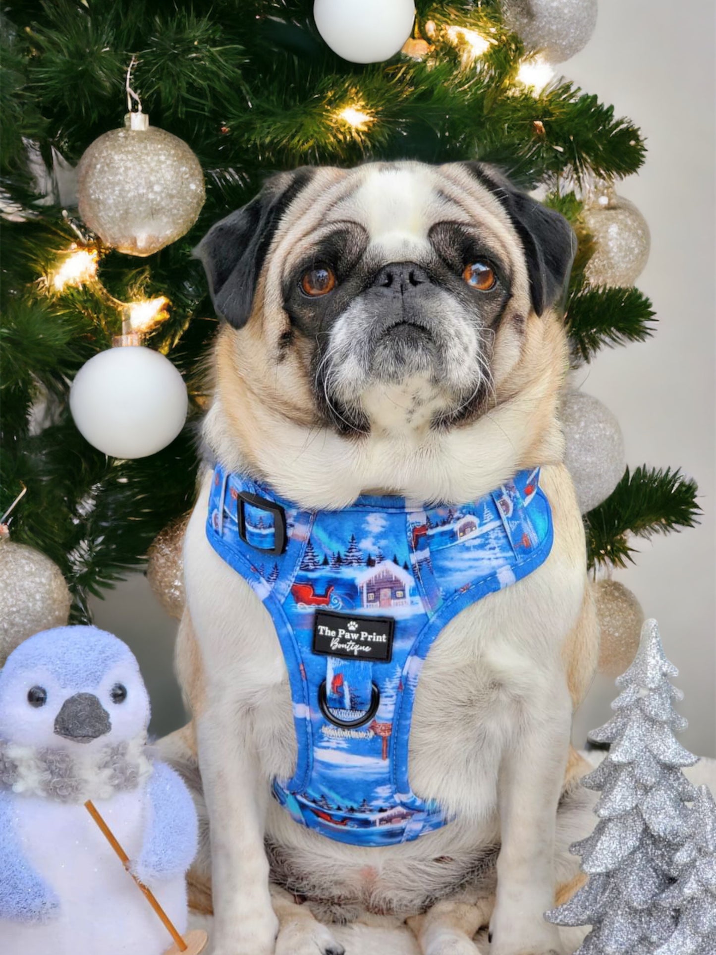 The North Pole Adventure Paws Harness