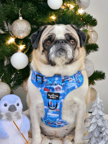 The North Pole Adventure Paws Harness