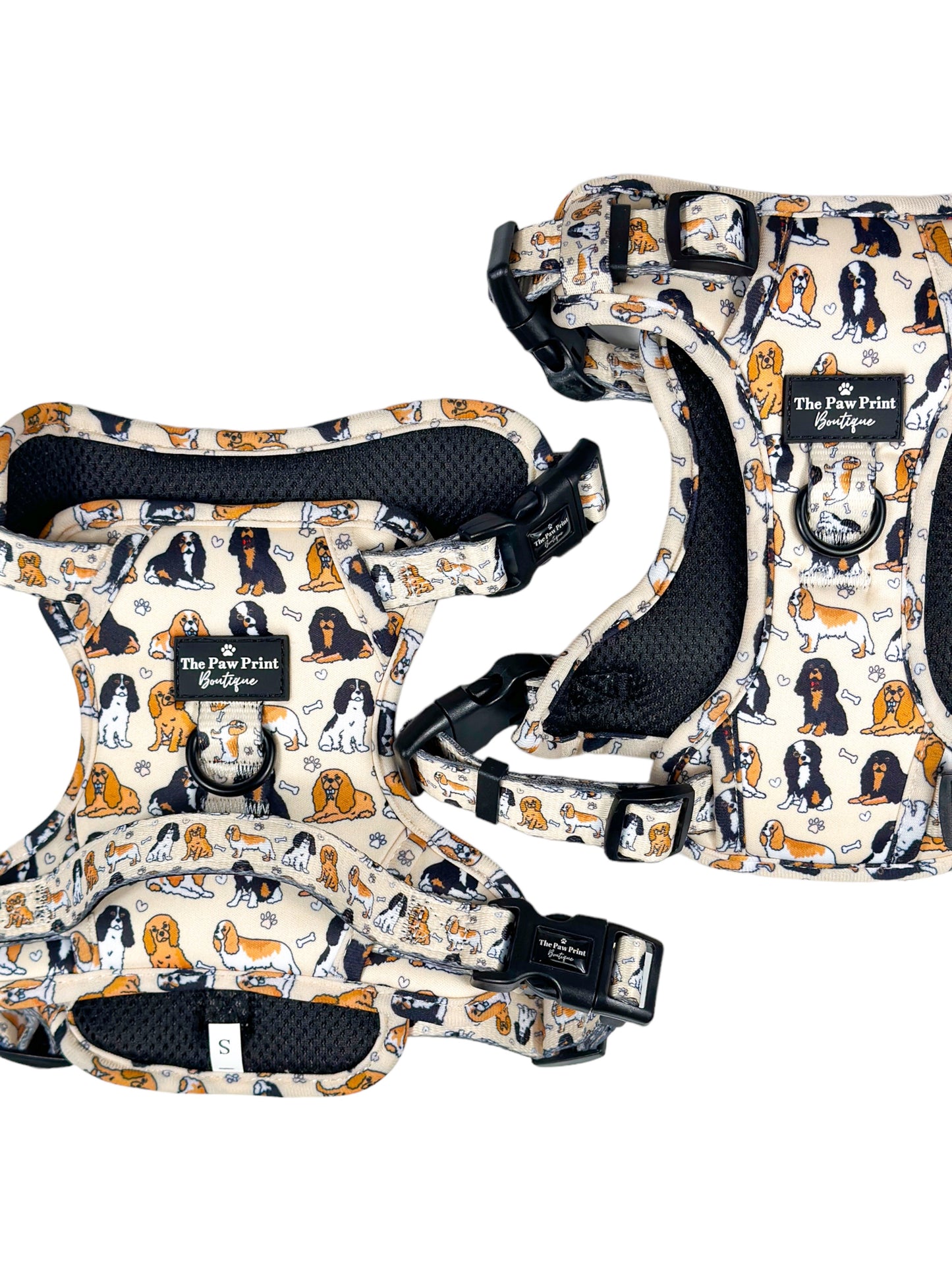 The Cavalier Adventure Paws Harness