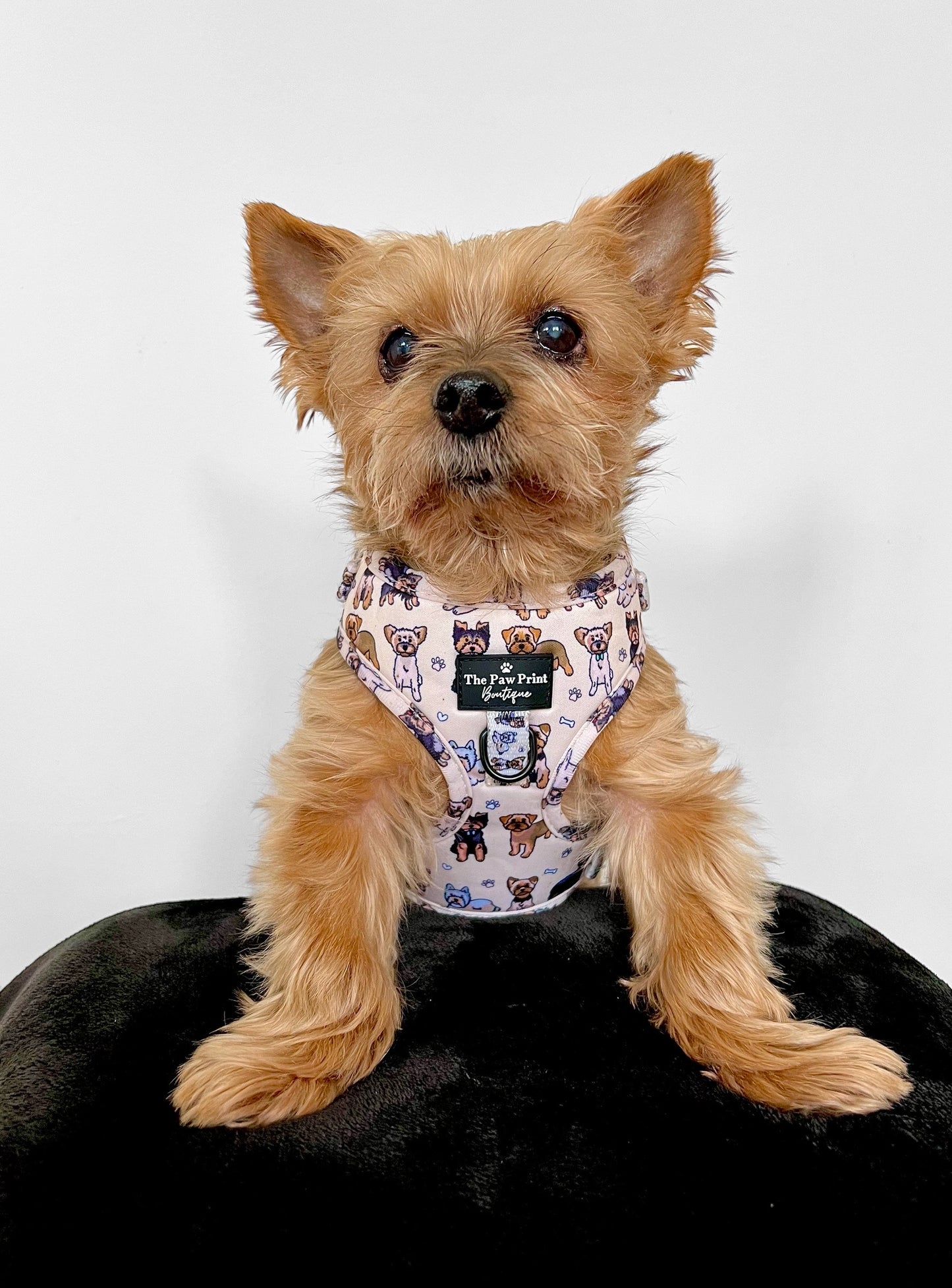 The Yorkie Adjustable Harness