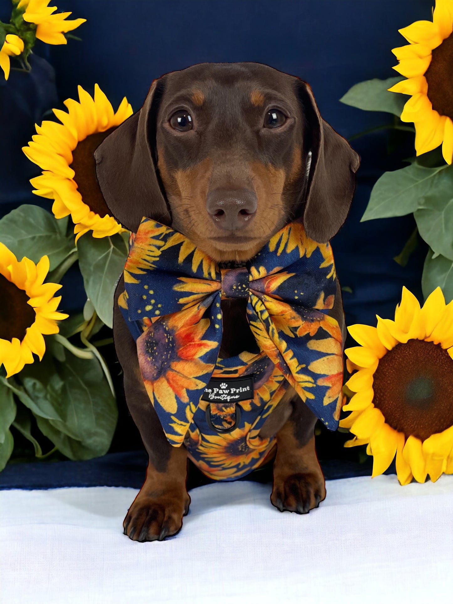 The Sunflower Field Adjustable Harness