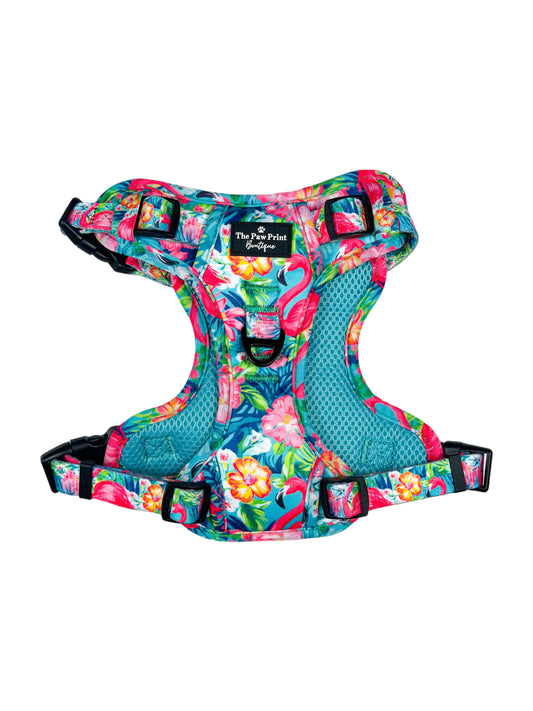 The Tropical Pawradise Harness (Adventure Paws Style)