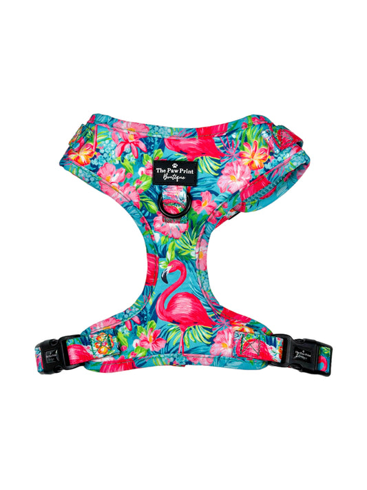 The Tropical Pawradise Harness