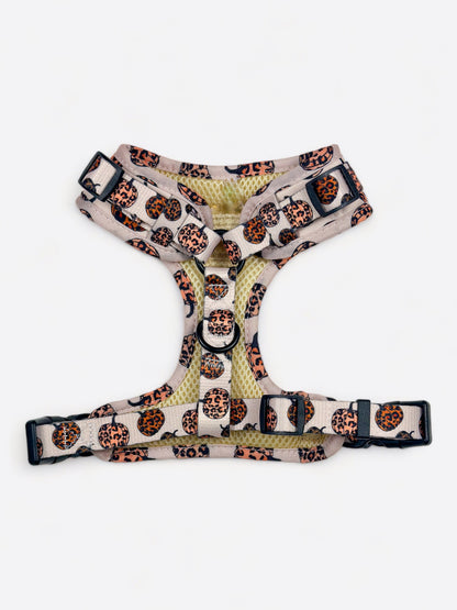 The Leopawrd Pupkins Adjustable Harness