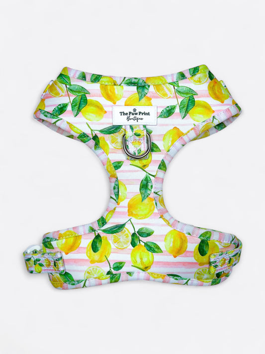 La Dolce Vita Adjustable Harness