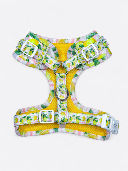 La Dolce Vita Adjustable Harness