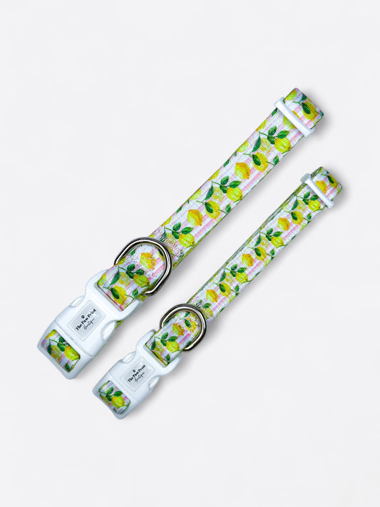 La Dolce Vita Collar