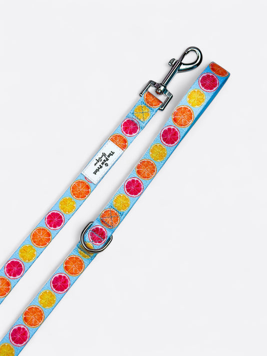 Squeeze the Day Lead