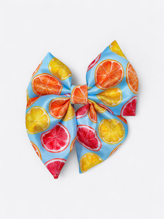 Squeeze the Day Bow Tie