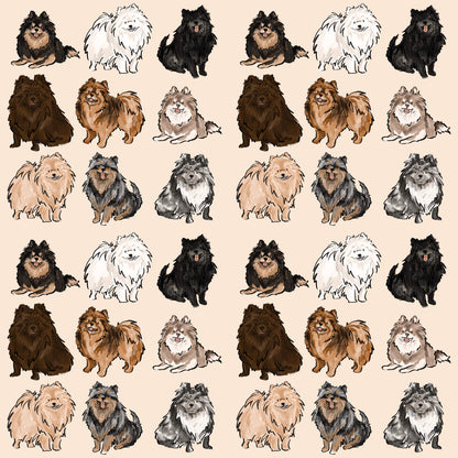 Pomeranian Dog Blanket