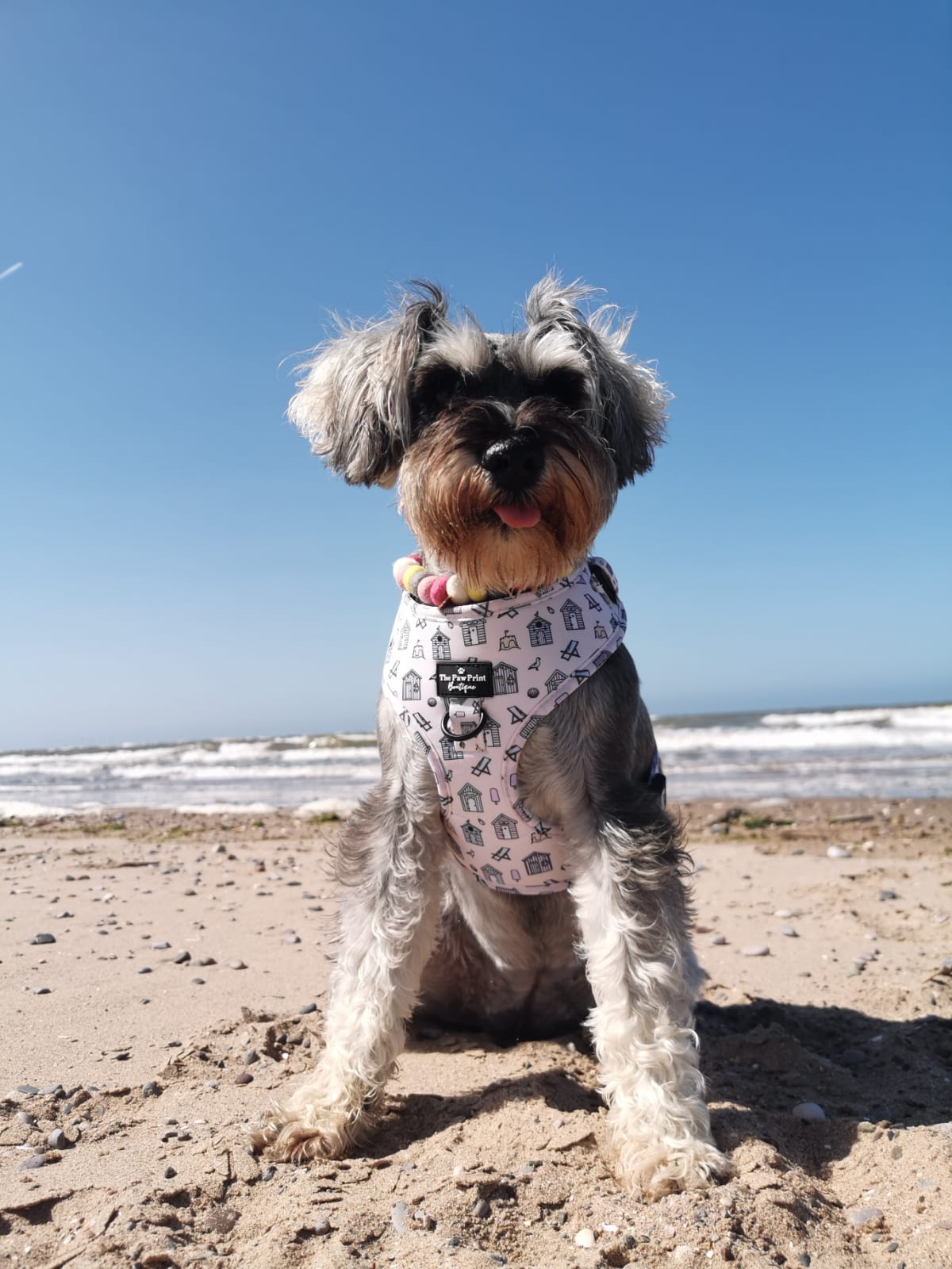 The Life's a Beach Adjustable Harness