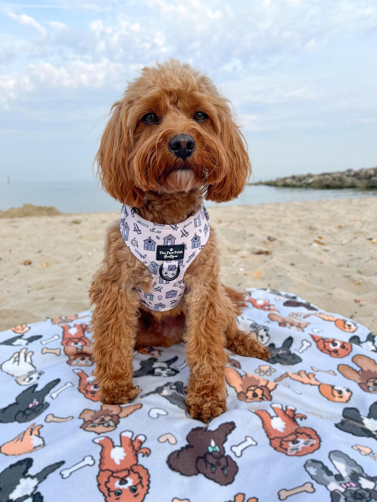 The Life's a Beach Adjustable Harness