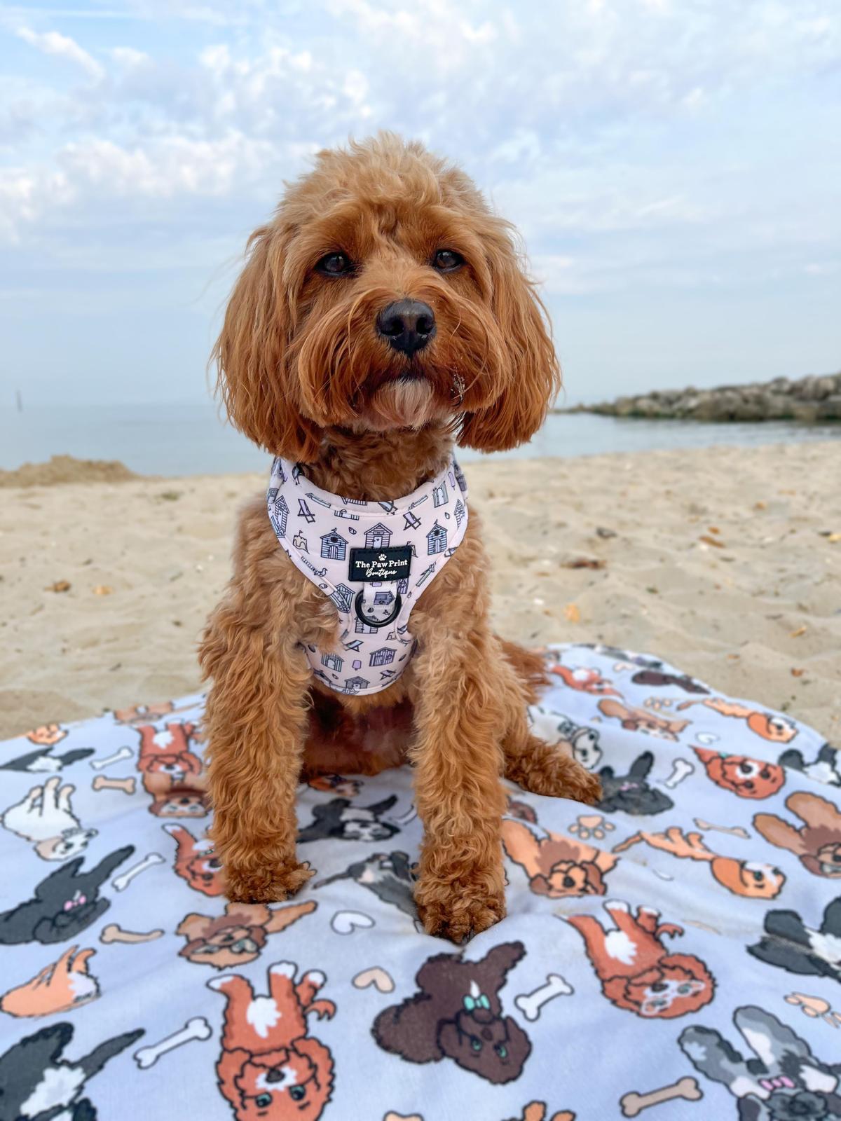 The Life's a Beach Harness