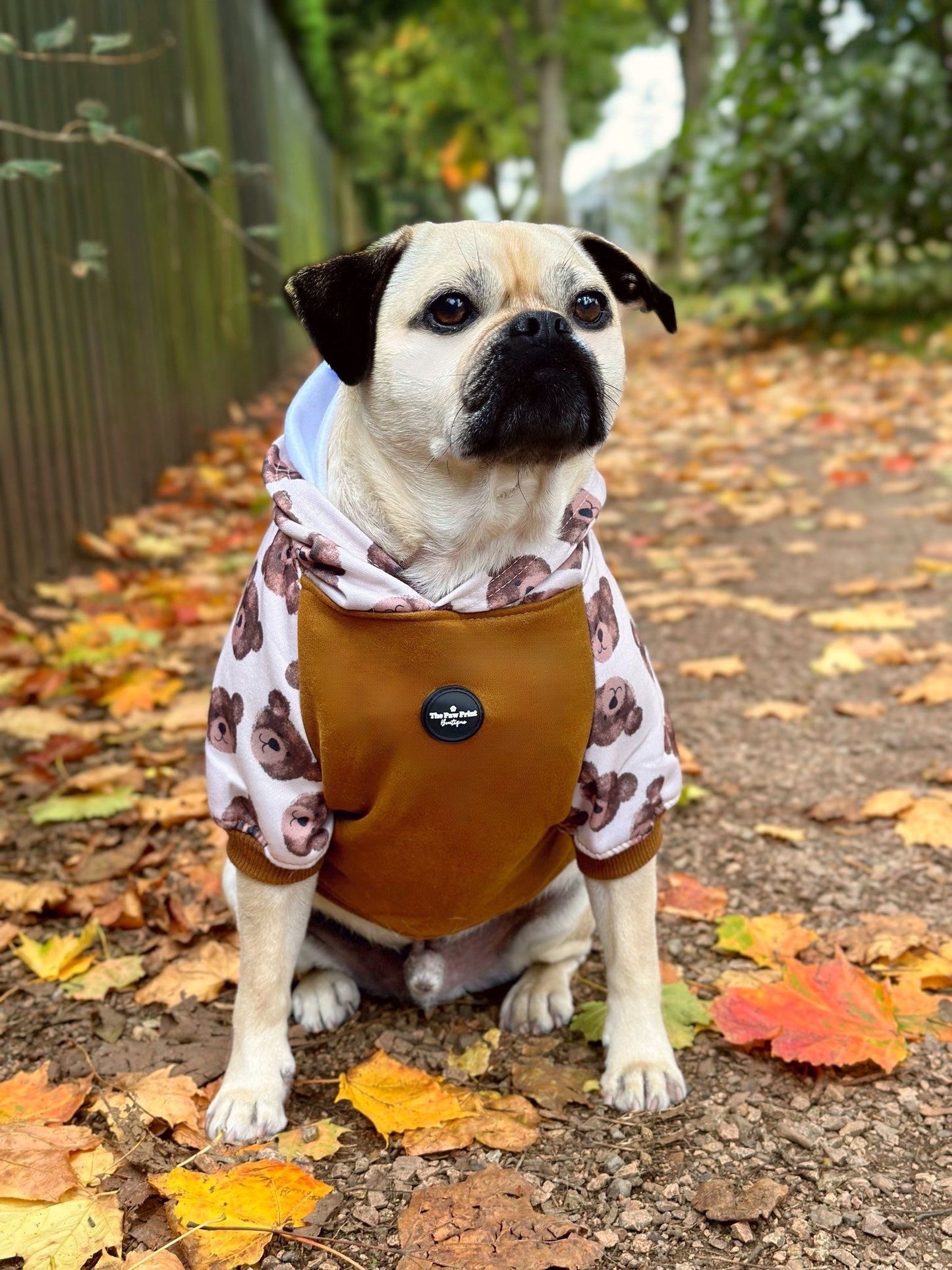 The Little Bear Cub Hoodie (Brown)