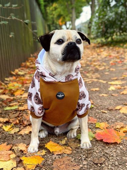 The Little Bear Cub Hoodie (Brown)